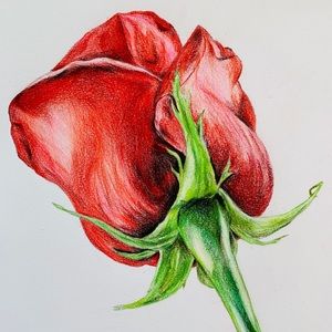 Meet your Posher, Ang